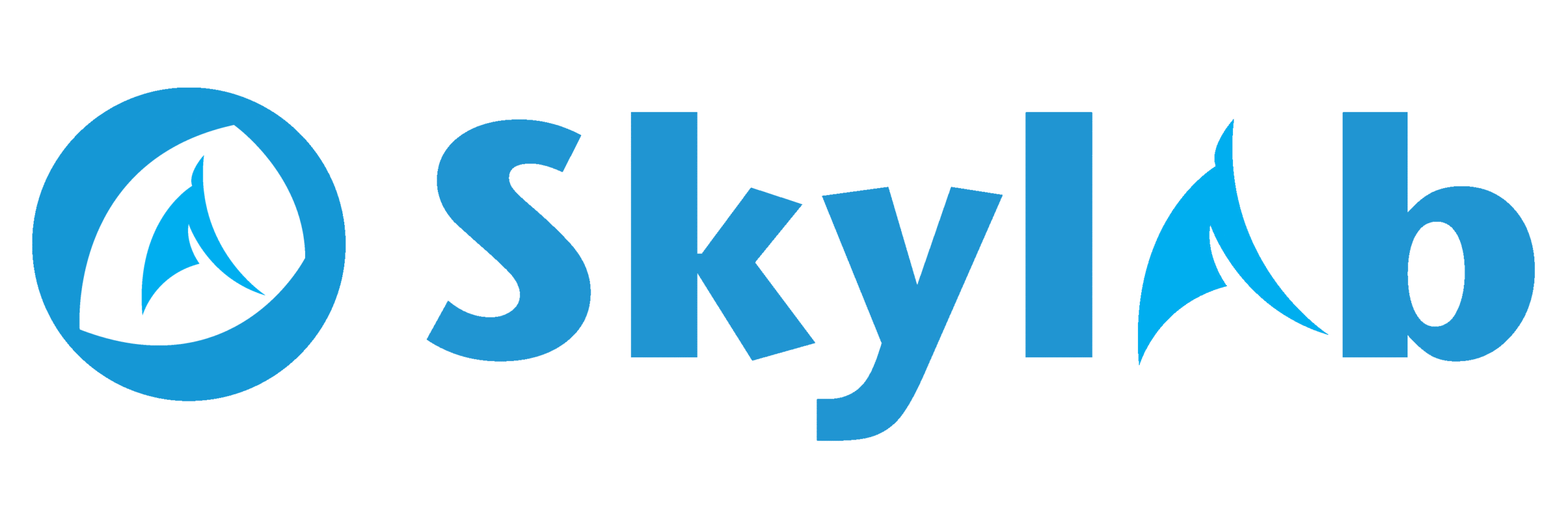 Skylab Systems Limited